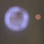 それでも足を進める